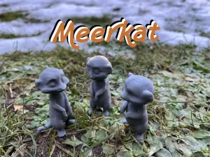 Cute Meerkat, Surikata
