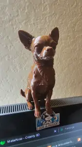Chihuahua