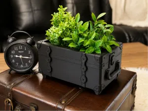 Suitcase Planter