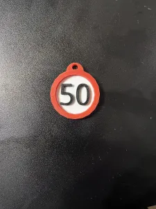 European Speed Limit 50 Keychain