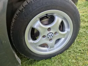 wheel cap with paw