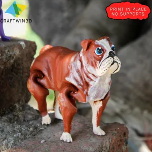 Flexy Bull dog print in place no supports