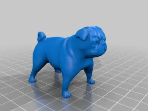 Pug
