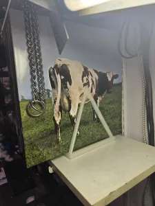 Vinyl Shelf Stand V4