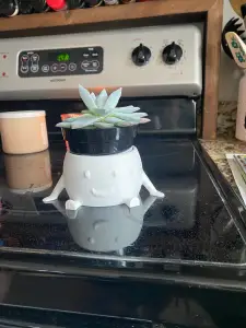 happy booty planter