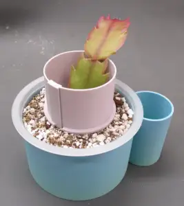 Plant Support Ring