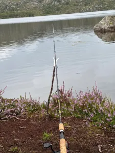 Fishing rod holder