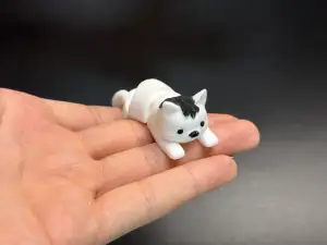 弹簧猫