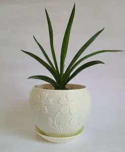 Plant Pot "Sun Flower" | Planter with Drain Tray