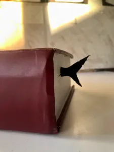 SharkBookmark