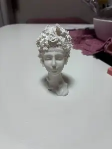 Beautiful woman bust