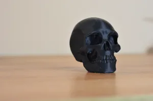 Череп