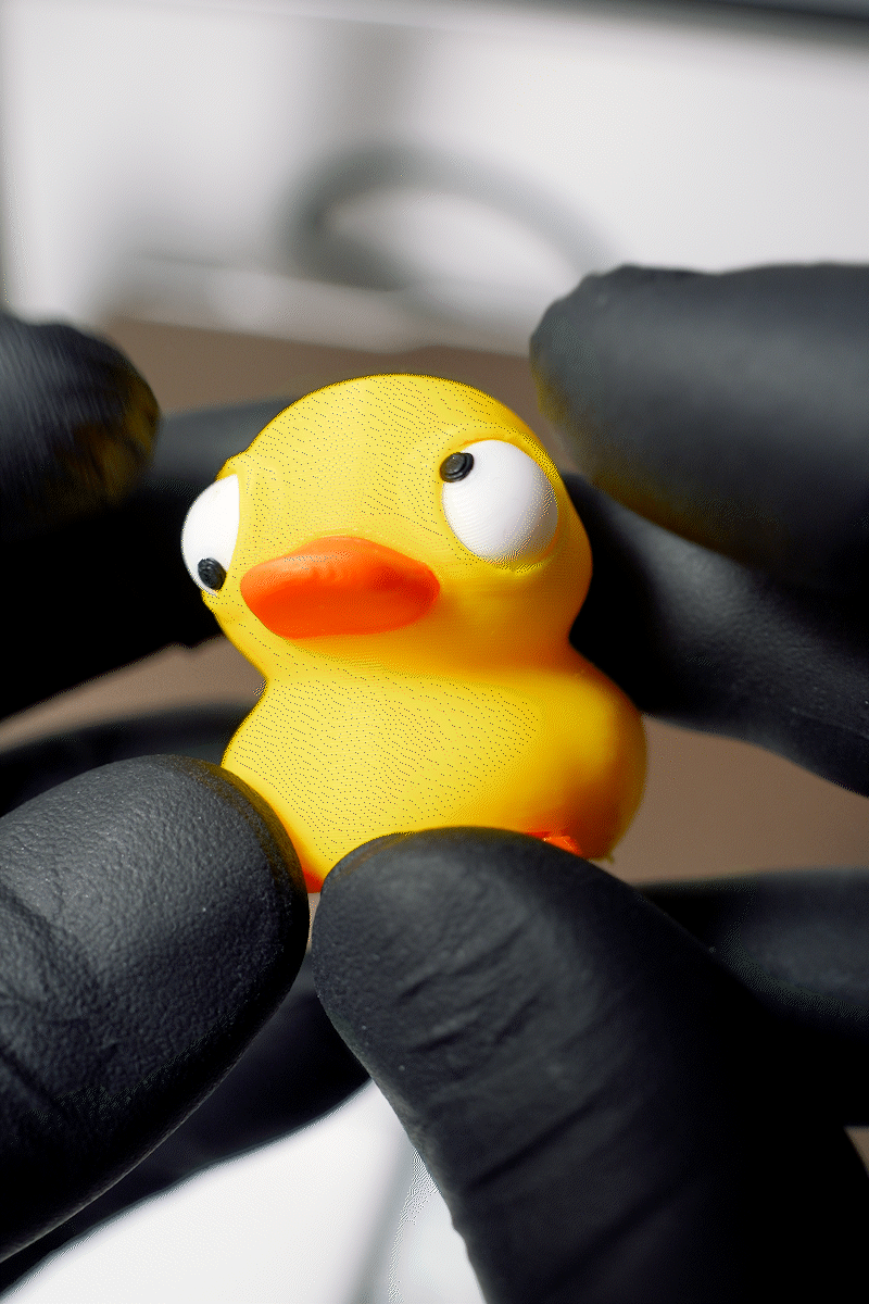 Cute Duck With Big Movable Eyes