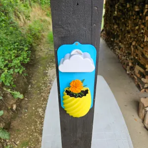 Rainy cloud flower pot