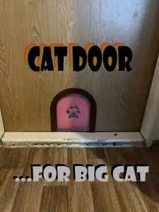 Cat door