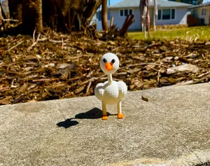 Duck