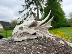Dragon SKULL