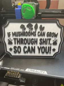 If Mushrooms can grow!