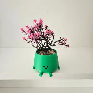 Happy flower pot