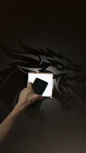 Dragon’s Shadow | Optical Illusion Box