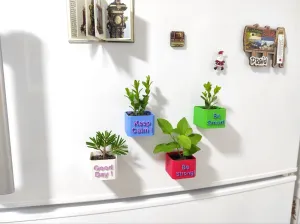 Fridge Magnets - Mini Flower Pots