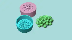 Cactus 11 - Silicon Mold Maker - Template Housing