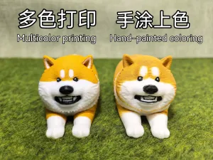 An annoying Shiba Inu欠揍的小柴犬