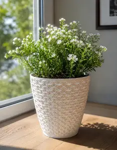 FLOWER POT