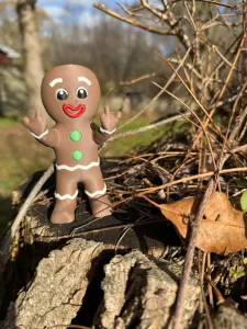 rude gingerbread man