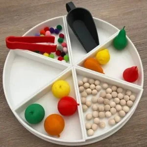 DIVISION TRAY “PIZZA” SLICES AND BASE