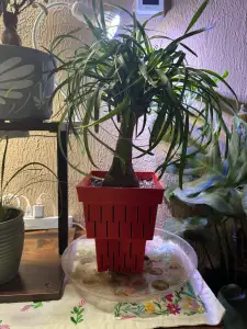 Aero Pots