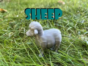 Fluffy sheep