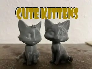 Cute kittens, Cat