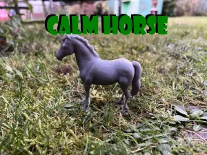 Calm horse