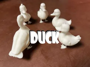 Ducklings and a duck