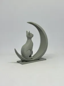 仰望月亮的猫