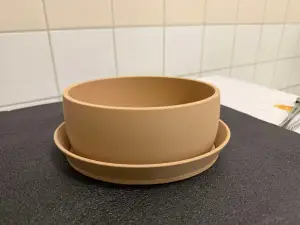 Bonsai pot with plate