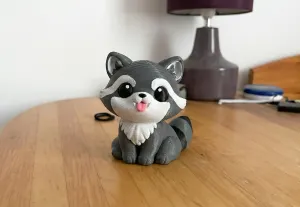 Small Raccoon