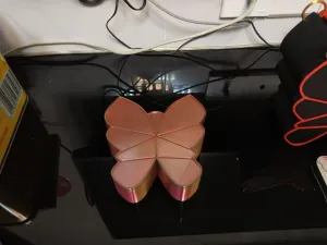 Butterfly jewelry box
