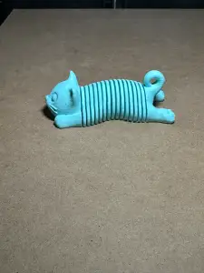 Springy_Cat