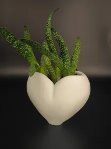 Minimalistic Heart Planter