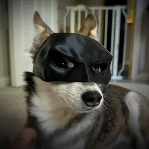 Cat/Dog Bat Mask