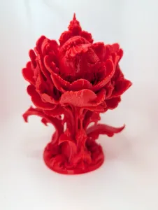 The Blushing Peony