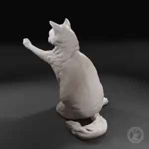 Cat Touching with Paw