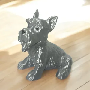 Schnauzer dog