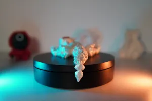 Cutie Dragon Lizard Articulated