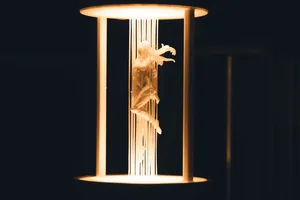 Akane - Suspended String Lamp