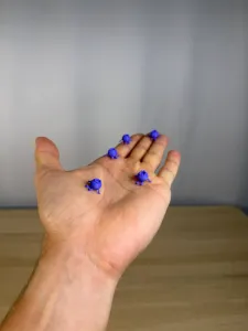 Mini Blueberry Buddy