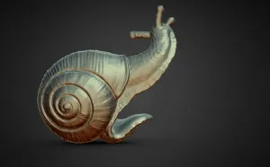 Haging Flower Pot Snail