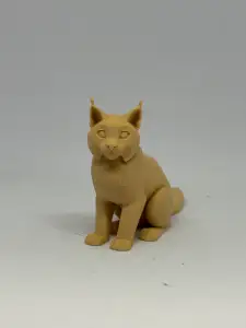 猞猁